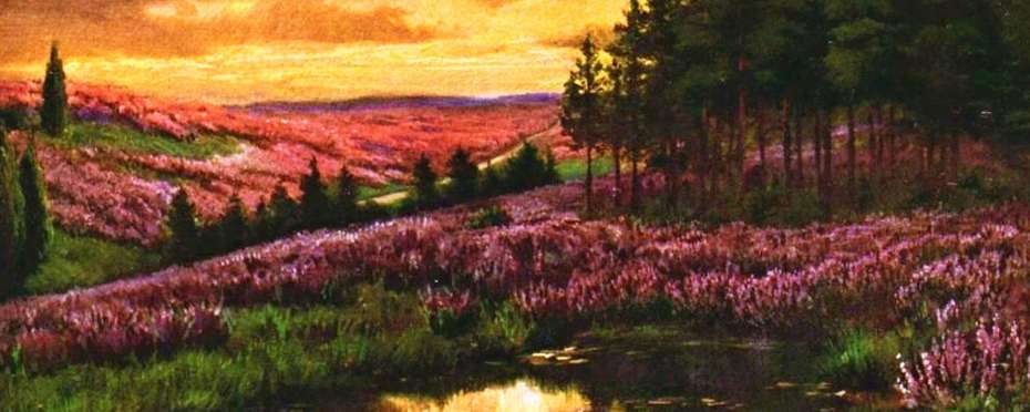 Letní slunovrat, báseň II.