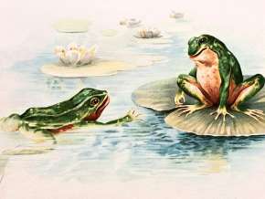 Stínání žáby, svatodušní.jpg