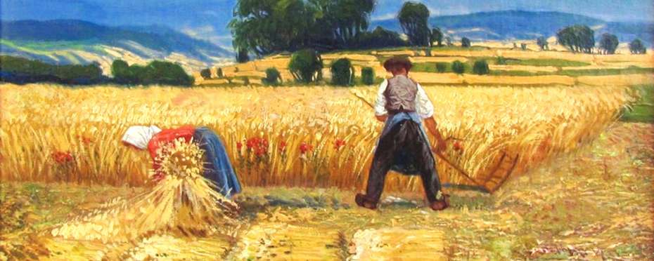 Sv. Markéta hází srp do žita, markétské léto a pranostiky