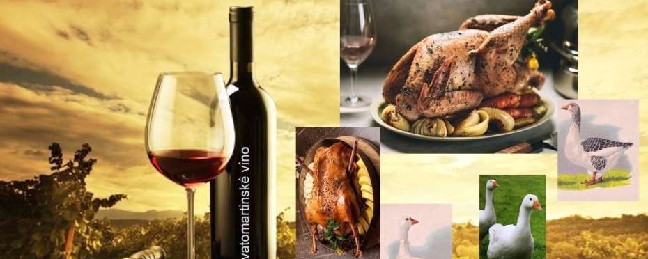 O martinském víně a proč je od 11. listopadu víno nové, lidové zvyky a pověry