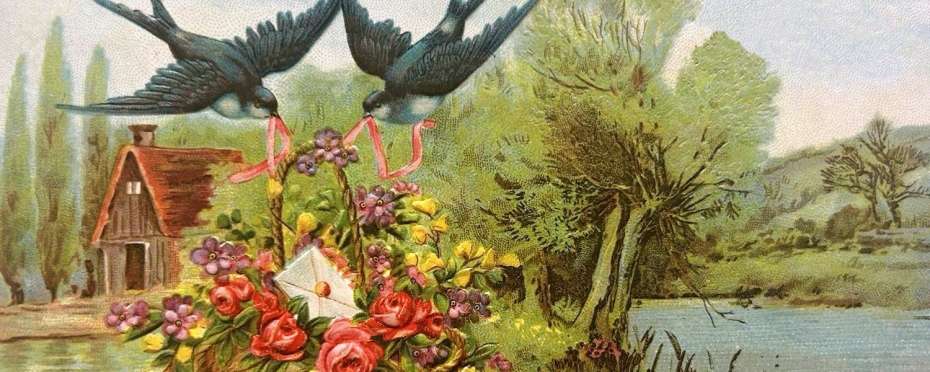 Proč se říká – Jedna vlaštovka jaro nedělá