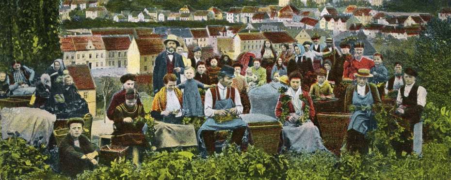 O česáčích, sklizeň chmele na konci 19. století a v první polovině 20. století